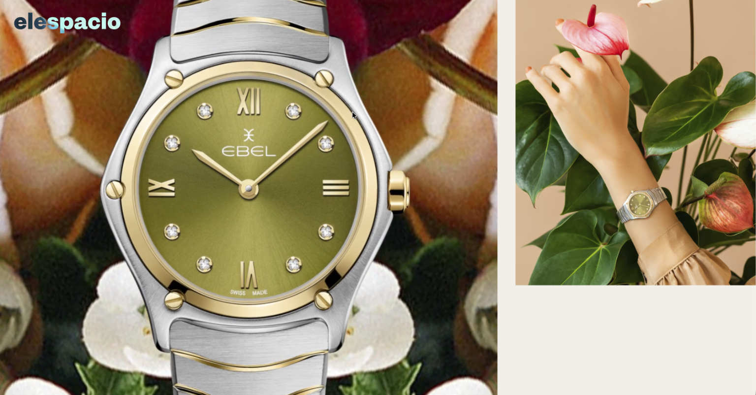 Materiales de marketing para EBEL - © Elespacio